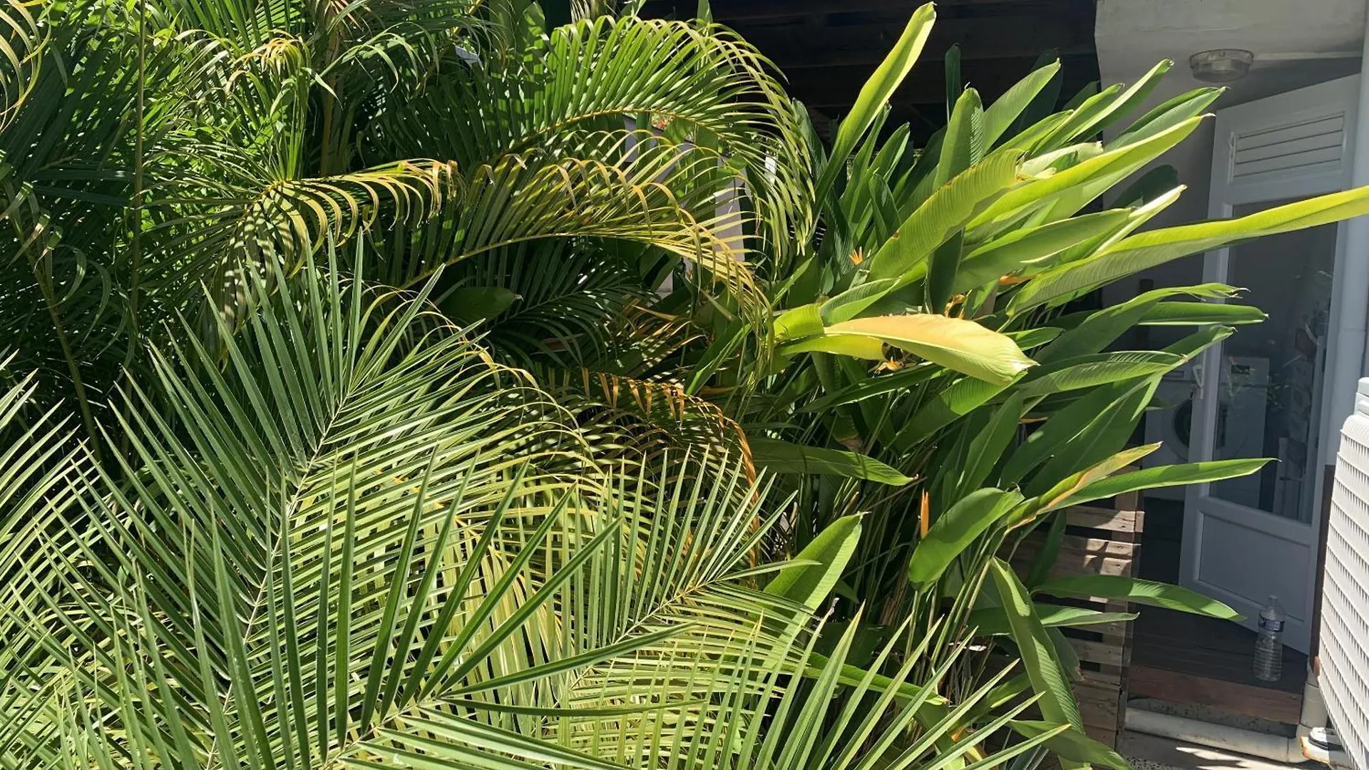 Cap Lodge Martinique Le Marin 0*,